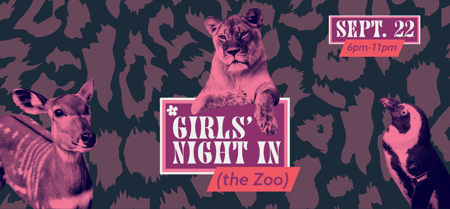 Girls Night In (the Zoo)